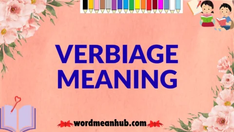 verbiage meaning
