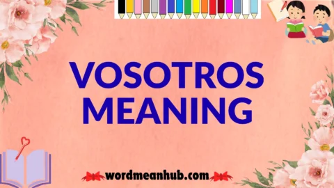 vosotros meaning
