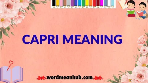 capri meaning