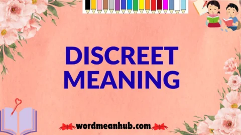 discreet meaning