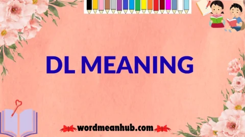dl meaning