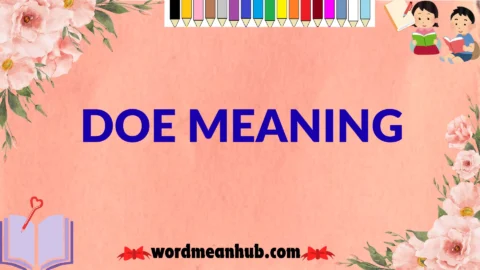 doe meaning