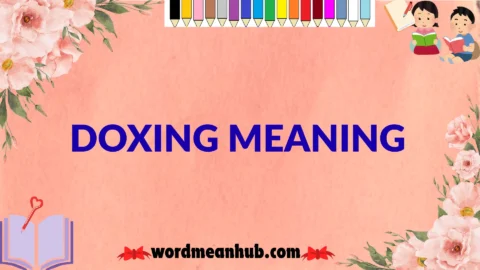 doxing meaning