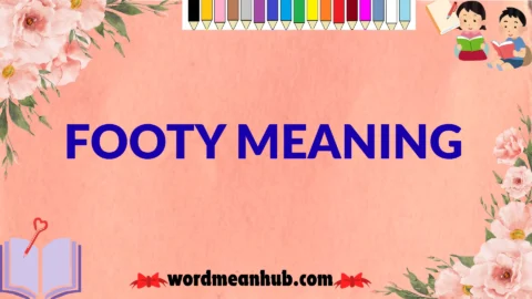 footy meaning