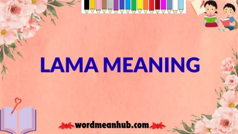 lama meaning
