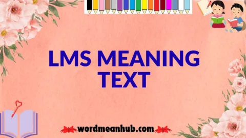 lms meaning text