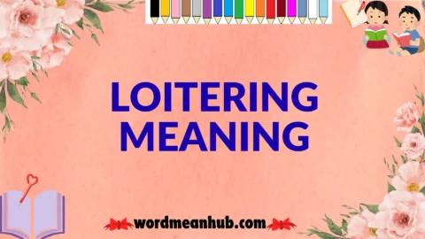 loitering meaning