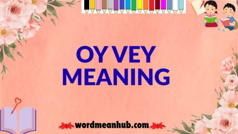 oy vey meaning