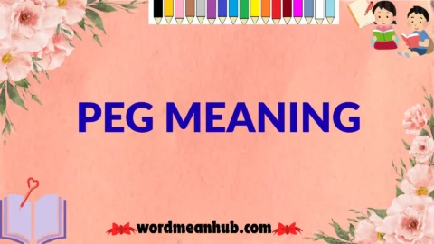 peg meaning