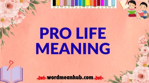 pro life meaning