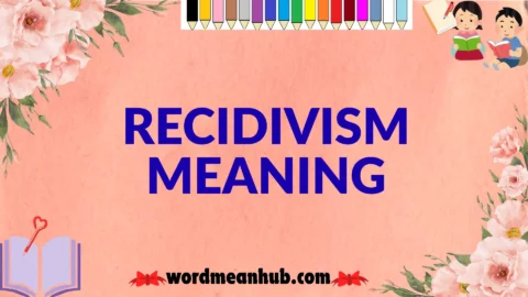 recidivism meaning