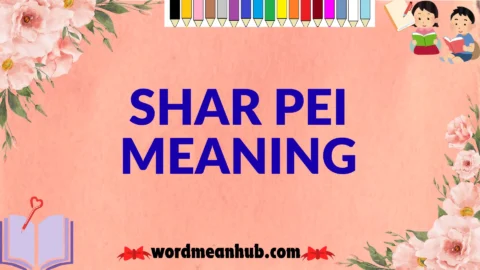 shar pei meaning
