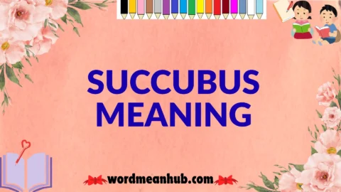 succubus meaning