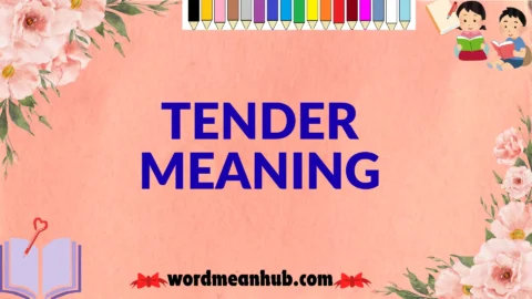 tender meaning