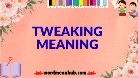 tweaking meaning