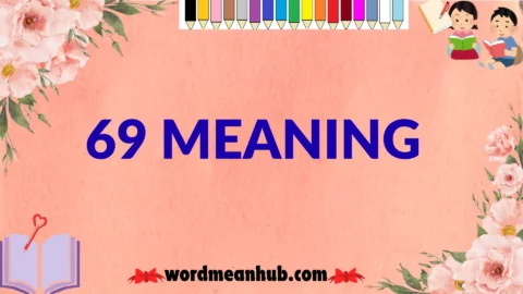 69 meaning
