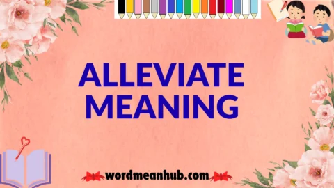 alleviate meaning