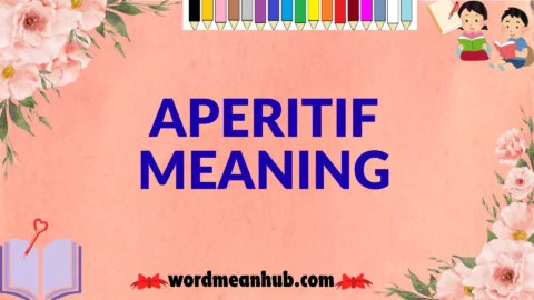 aperitif meaning