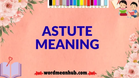 astute meaning
