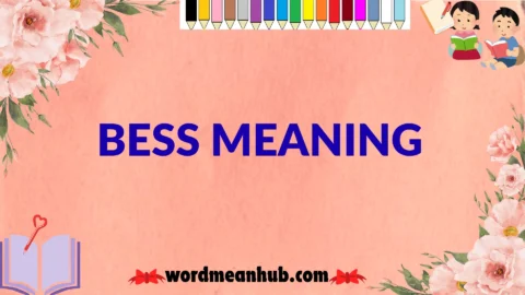 bess meaning