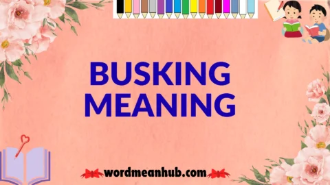 busking meaning