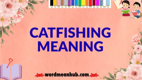 catfishing meaning