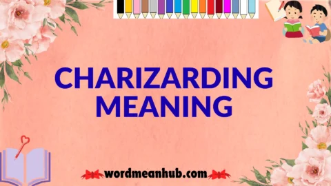 charizarding meaning