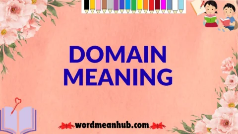 domain meaning