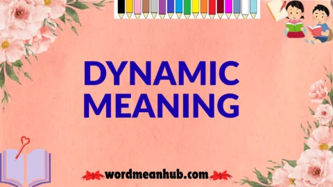 dynamic meaning