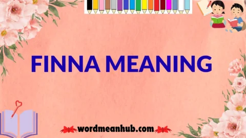 finna meaning