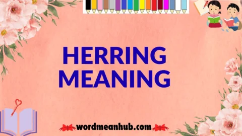 herring meaning