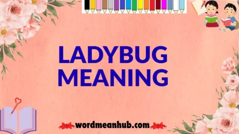 ladybug meaning