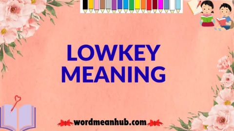 lowkey meaning