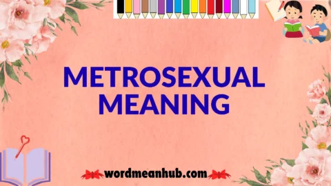 metrosexual meaning