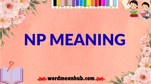 np meaning