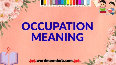 occupation meaning