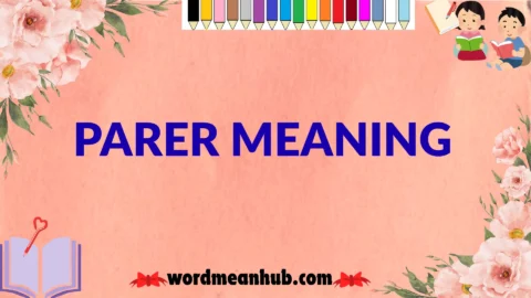 parer meaning