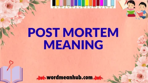 post mortem meaning