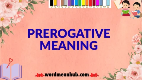 prerogative meaning