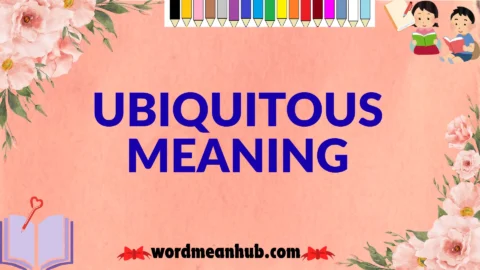 ubiquitous meaning