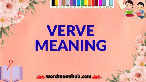 verve meaning