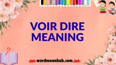 voir dire meaning