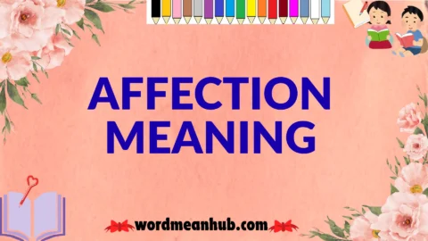 affection meaning