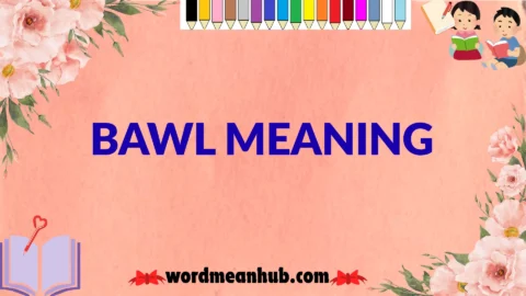 bawl meaning
