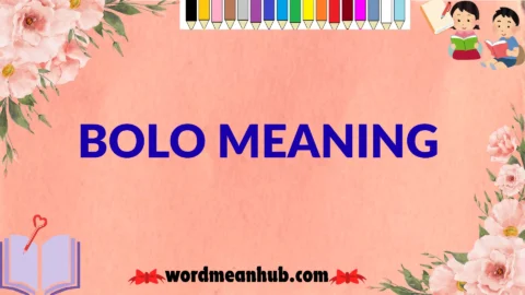 bolo meaning