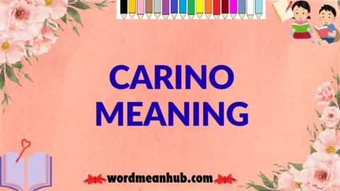 carino meaning