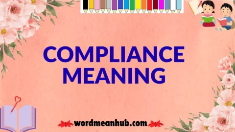 compliance meaning
