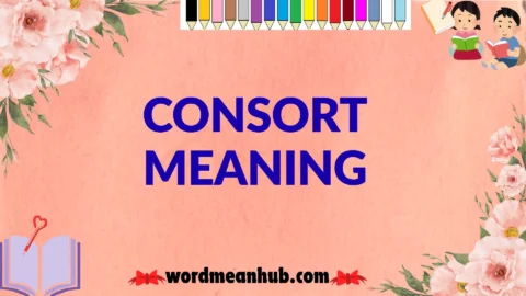 consort meaning
