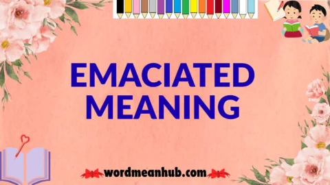 emaciated meaning