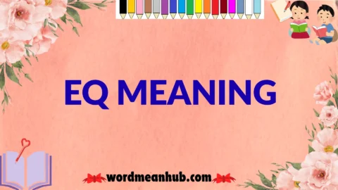 eq meaning